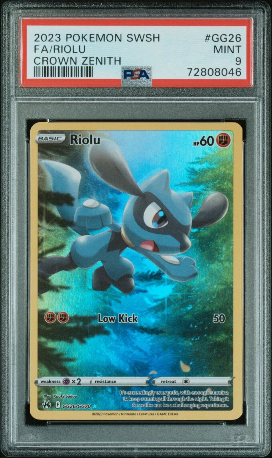 Riolu PSA 9 MINT