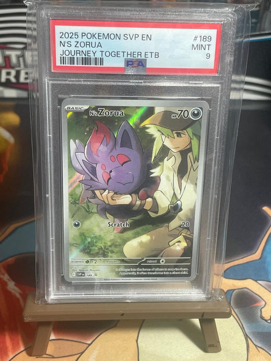 NS Zorua PSA 9